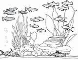 Coloring Fish Aquarium Tank Pages Amazing Printable Color Print Netart Getdrawings Line Getcolorings sketch template