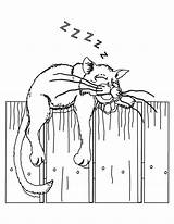 Coloring Sleeping Cat sketch template