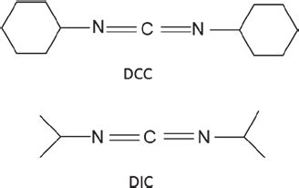 structure  dcc  dic  scientific diagram