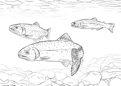 trout fishing coloring pages