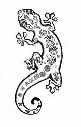 Gecko Gekko Lizard Disegni Geco Reptiles Tatuaggi Lucertola sketch template