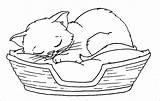 Coloring Pages Kitten Sleeping Coloringbay sketch template