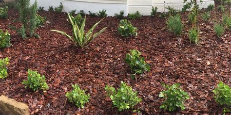 mulch  rock  landscaping ground cover pink  green