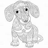 Dackel Ausmalbilder Ausmalen Hunde Tiere Welpen Puppy Welpe Zentangle Erwachsene Dachshund Malvorlagen Zeichnen Malvorlage Kinder sketch template