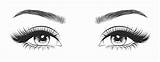 Eye Eyes Lashes Eyelashes Drawing Anatomy Word Works Drawn Eyebrows Meet Nice Eyelids Brows sketch template