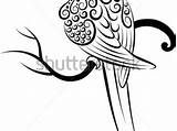 Parakeet Drawing Clipartmag sketch template