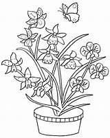Colorat Flori Orhidee Planse Bouquet P06 Desene Coloriages Primiiani Orchidee Universdecopil Copii Enfant Ligne sketch template