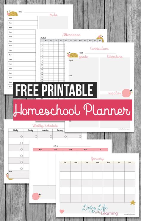 printable homeschool planner  homeschool deals