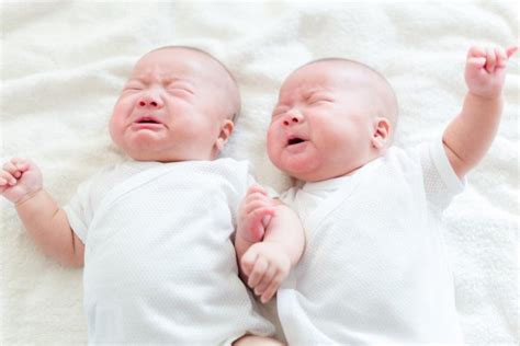 asian  born twins crying stock photo  leungchopan