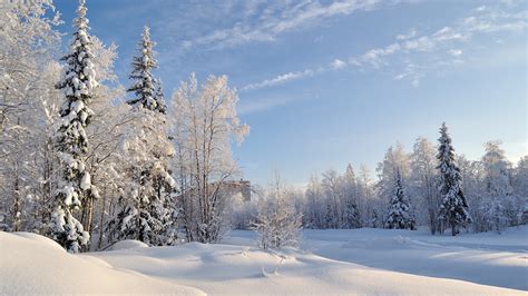 beautiful snowy russian winter hd wallpapers page    volganga