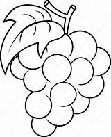 Uvas Grapes Uva Colorir Dibujo Bunch Martino Frutas Molde Moldes Template Cristianas Clip Escuela Dominical Visitar Nostrofiglio sketch template