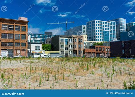 empty vacant lot  overgrown vegetation   middle   city