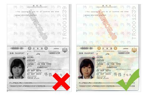 passport biographic page  nvc national visa center dept  state