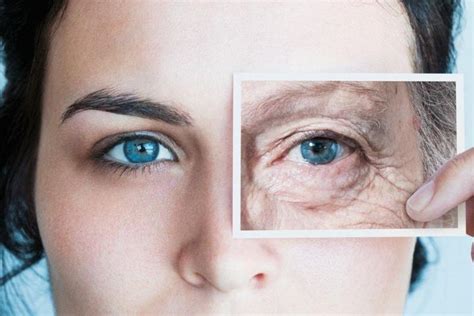 skin aging aging skin solutions  aging skin problems