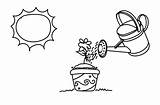 Water Clipart Watering Plant Clip Plants Pitcher Sun Cliparts Library Clipground sketch template