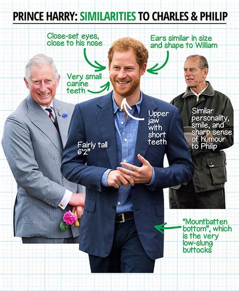 prince harry is not james hewitt s son and this is the proof daily star