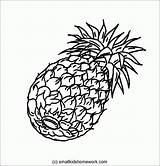 Outline Pineapple Coloring Outlines Fruits Pages Popular Kids sketch template