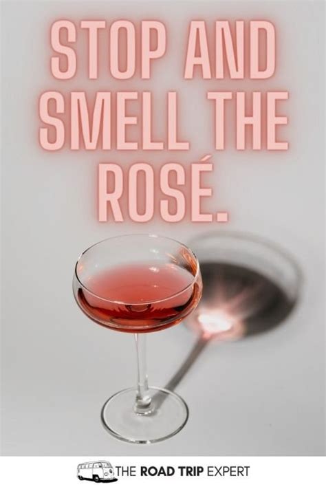 100 Incredible Wine Captions For Instagram With Puns