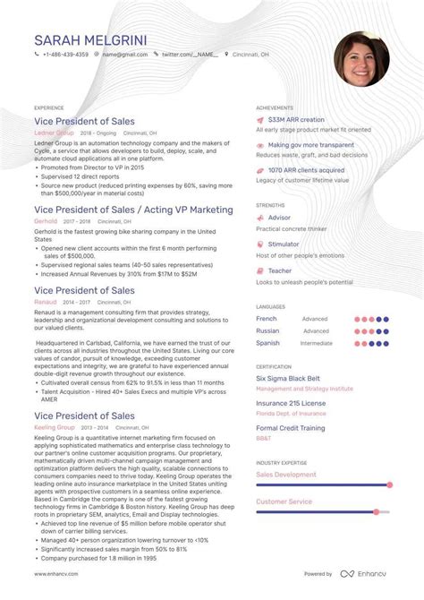 vp  sales resume  sales resume resume examples marketing