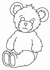 Bear Teddy Coloring Fluffy Color Luna sketch template