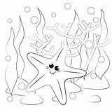Starfish Supercoloring sketch template