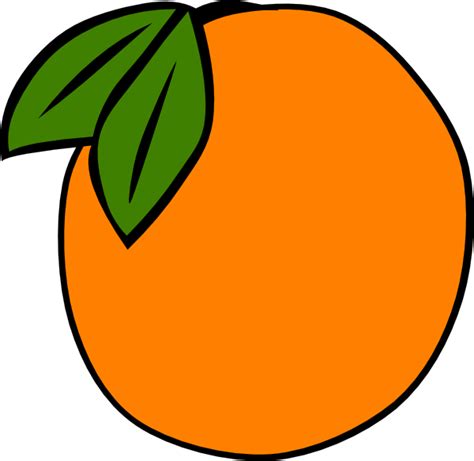 orange fruit stencil clipart