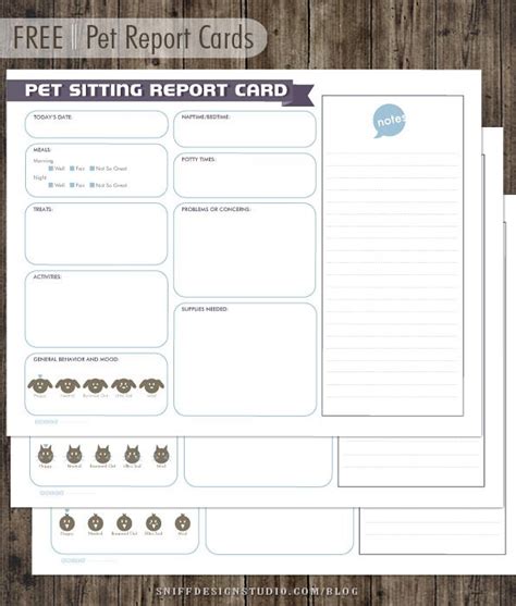 pet report card design  pet sitters pet sitters pet sitting
