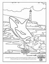 Orca Coloring Pages Printable Getcolorings Color Getdrawings sketch template