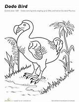 Dodo Animals Extinct Birds sketch template