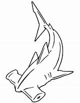 Shark Hammerhead Coloring Pages Drawing Outline Cartoon Template Printable Kids Line Tattoo Clipart Head Hammer Print Sharks Drawings Cliparts Colouring sketch template