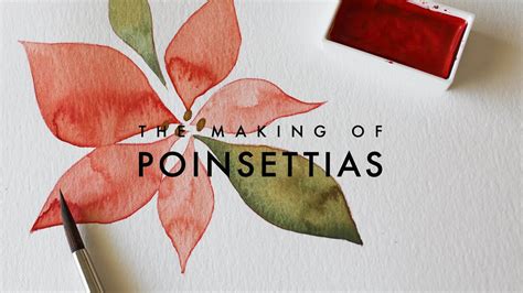 watercolor  poinsettias simple step  step youtube