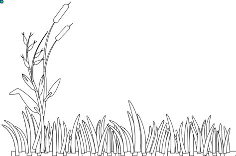 grass coloring pages learny kids