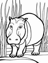 Hippo Coloring Hippopotamus Pages Color Animals Kids Cartoon Colouring Cliparts Clipart Print Clip Sheet Animal Printable Popular Library sketch template
