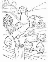 Coloring Rooster Pages Farm Color sketch template