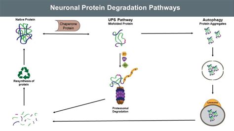 parkinsons disease biomarkers  early discovery lifesensors