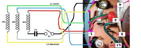 electric motor  wiring diagram diagram types