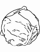 Cabbage Coloring Clipart Pages Printable Webstockreview sketch template