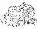 Harvest Coloring Pages Fall Kids sketch template