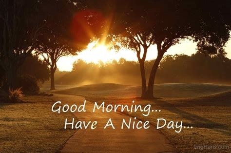 good morning wishes pictures images page