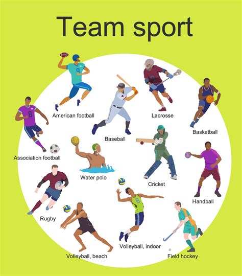 team sport  sample shows   common types  team sports american football