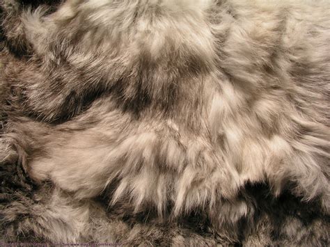 skin texture fur wolf fur texture background background