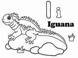 Coloring Iguana Pages Kids Printable Color Iguanas Craft Animals Coloringbay Abc sketch template