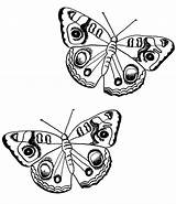 Mariposas Coloriage Papillon Kolorowanki Motyle Motyl Kolorowania Dla Drukowania Wydrukowania Szukaj Zapisano Imprimé sketch template