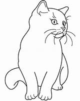 Coloring Pages Cat Fluffy Getcolorings Printable Print Color sketch template