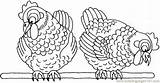 Coloring Hens Chicks Roosters Two Printable Pages Birds Online Rooster Chicken Coloringpages101 Color Choose Board sketch template