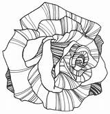 Flower Drawing Drawings Rose Coloring Line Pages Flowers Power Draw Illustration Cute Clipart Wallpapers Nicole Roses Cliparts Color Printable Colouring sketch template