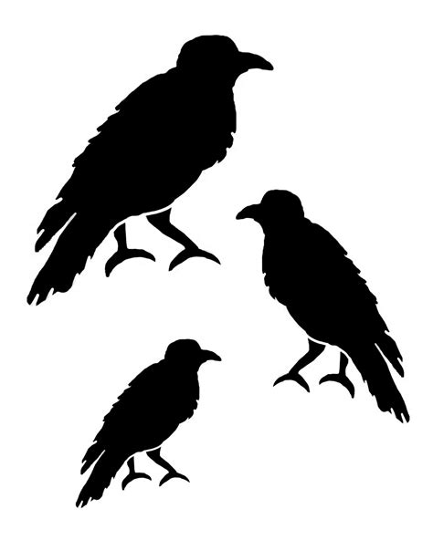 crow template