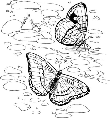 nature coloring page sketch coloring page