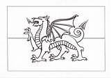 Coloring Welsh Flagge Ausmalbild Designlooter Twit sketch template