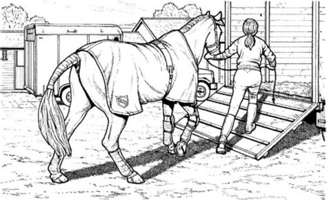 horse dressage coloring page turkau